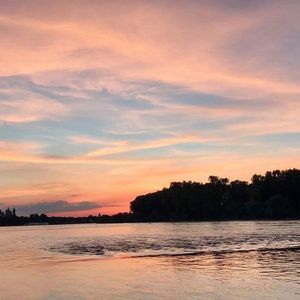 Meet your Posher, Gordon